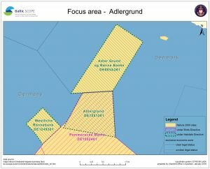 focus_area_adlergrund
