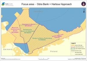 focus_area_odra_bank